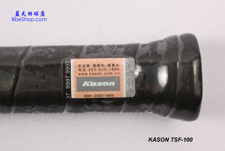KASON TSF 100 ʤ