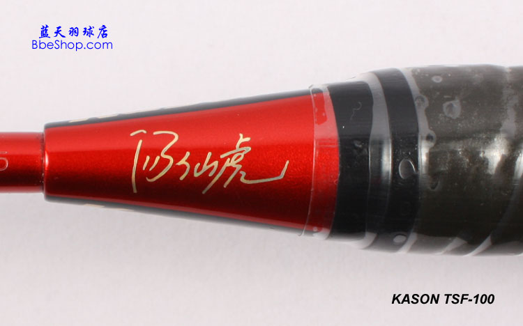 KASON TSF 100 ʤ