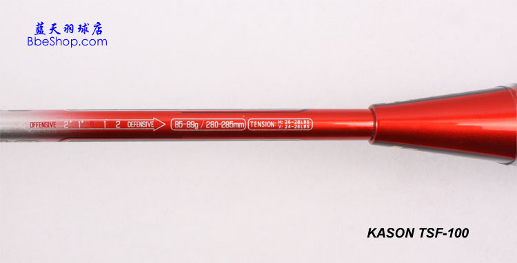 KASON TSF 100 ʤ