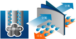 KASON����ʤ����ë���COOLDRY�������