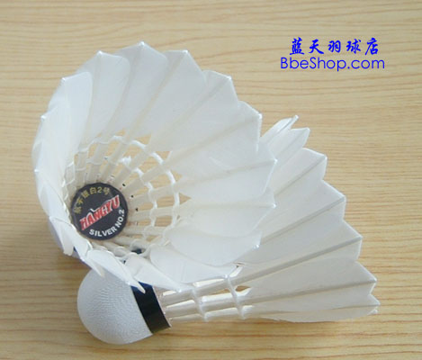 shuttle_hangyu_s2_01.jpg (50753 �ֽ�)