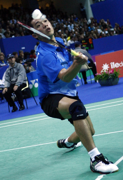 YY������ 12027 YONEX��ë���