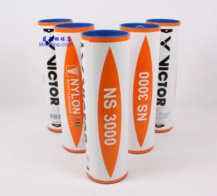 ʤNS-3000ë