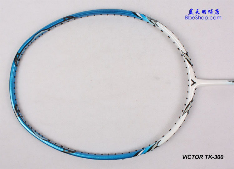 VICTORʤͻ300 ë