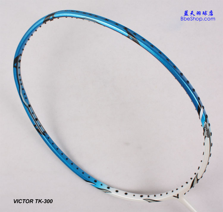 VICTORʤͻ300 ë