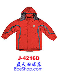 VICTOR J4216 ʤ˶