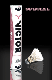 VICTORʤSpecial ػݼë|ʤë