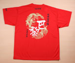 WC2010-001世锦赛纪念衫